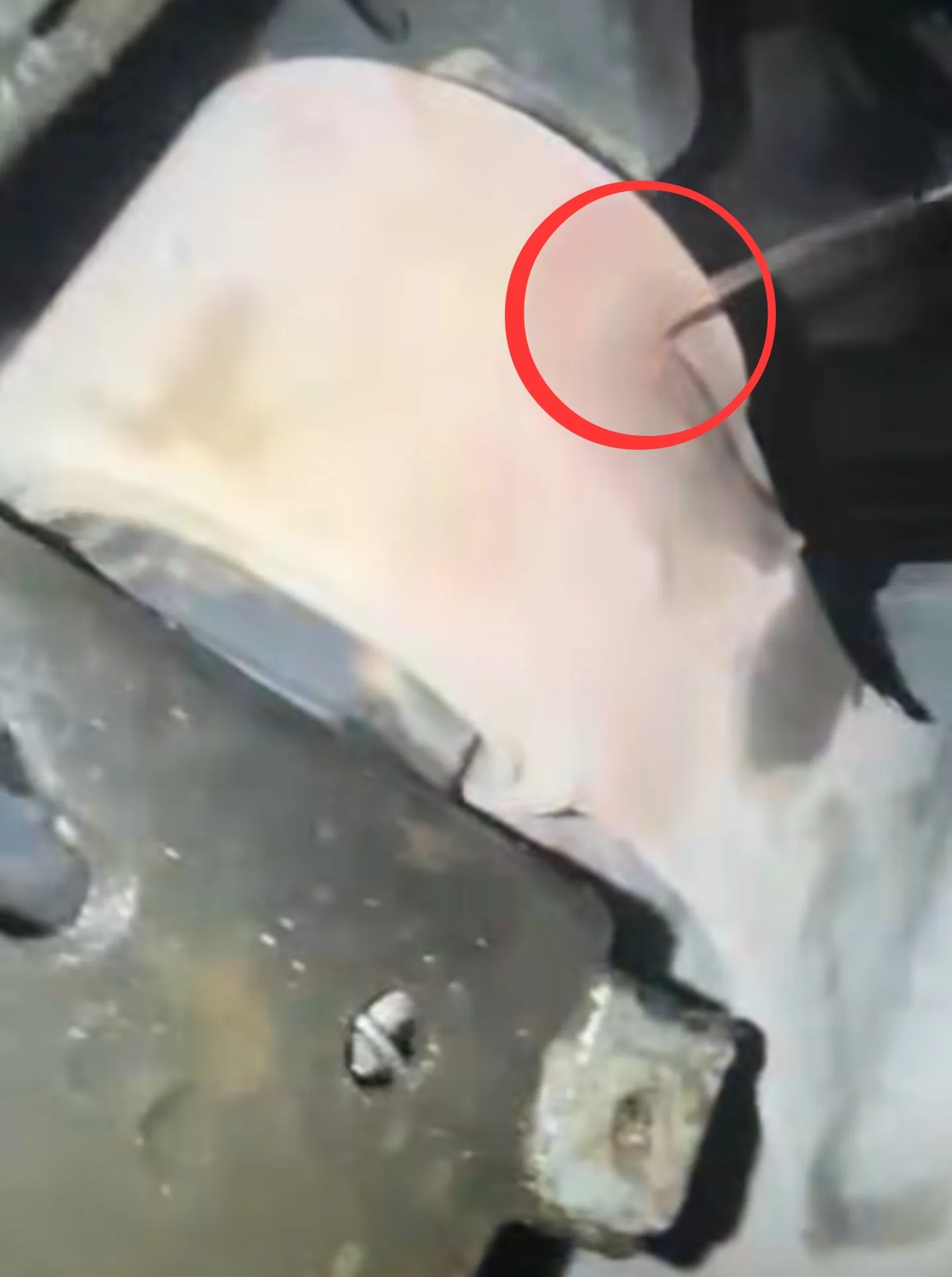 Mercedes GLE 53 cracked coolant pipe connection showing the exact leak point circled in red